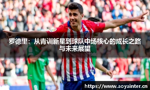 BSports官网入口