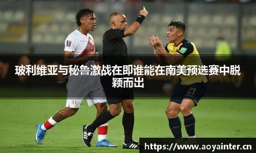 BSports官网入口