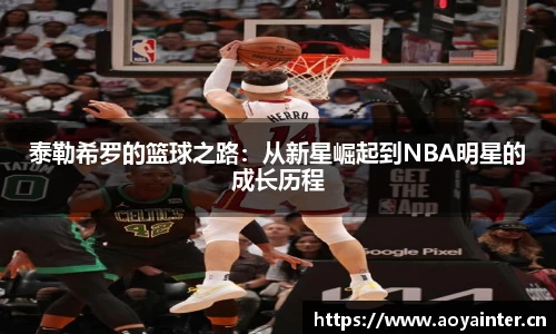 必一运动bsport体育