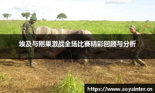 BSports官网入口