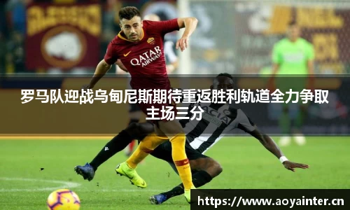 BSports官网入口